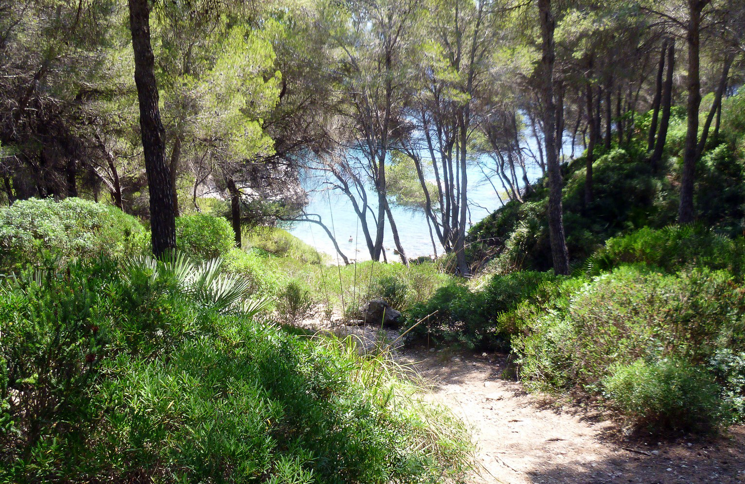 Actividades y deportes de aventura en Mallorca, España. Actividades y deportes de aventura en Mallorca, España.